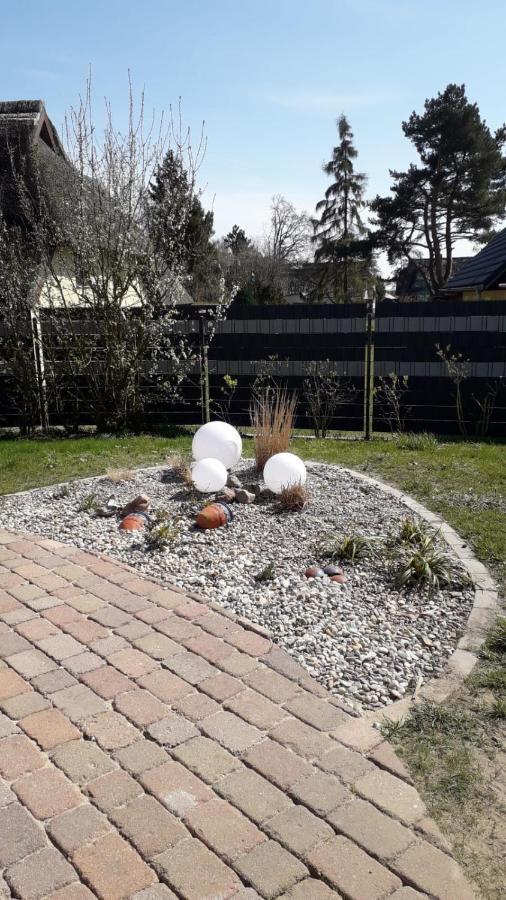 Ferienwohnung Born Am Darsswald Eg מראה חיצוני תמונה